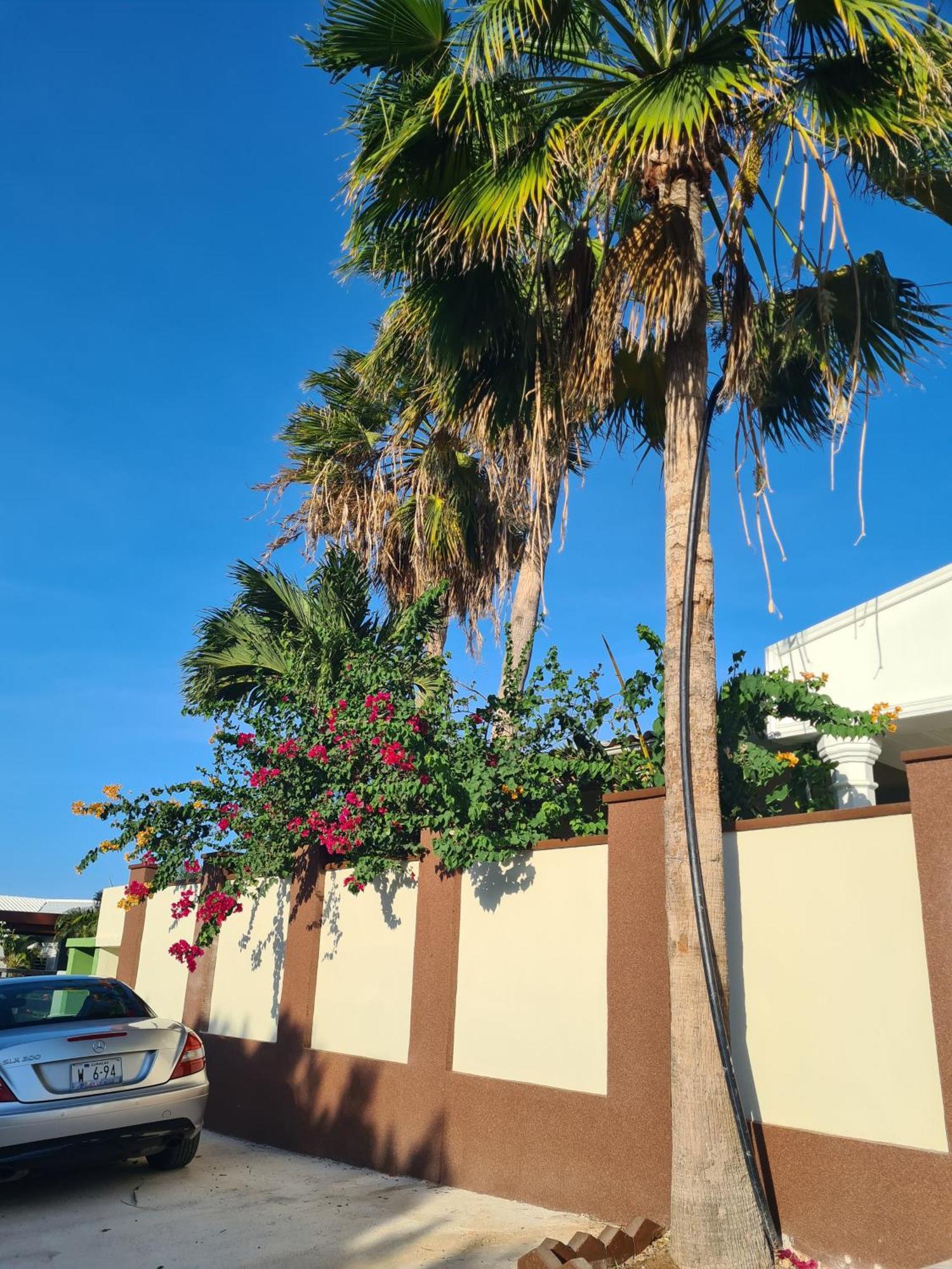 Rdr Apartments Santa Catharina Bagian luar foto